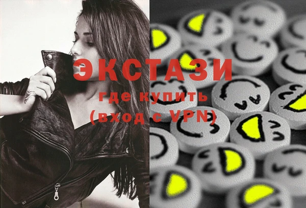 дмт Пересвет