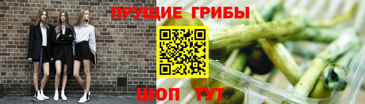 Галлюциногенные грибы мицелий Верхняя Салда